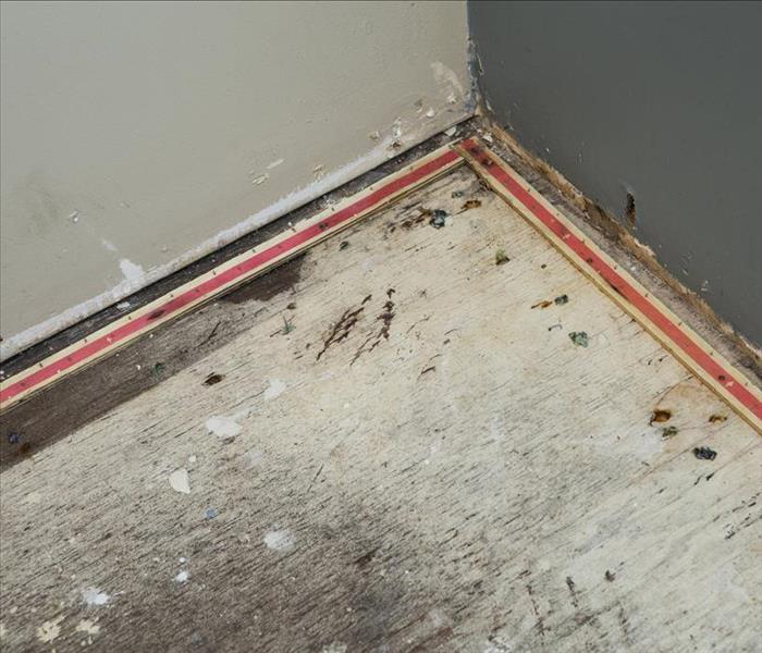 removed carpet, showing tack-board
