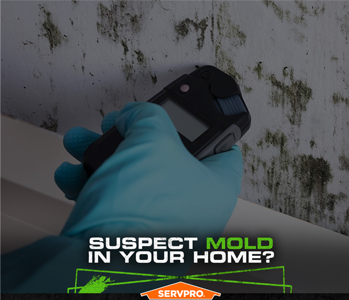 SERVPRO tech wearing gloves holding a moisture meter along a wall covered with  mold.