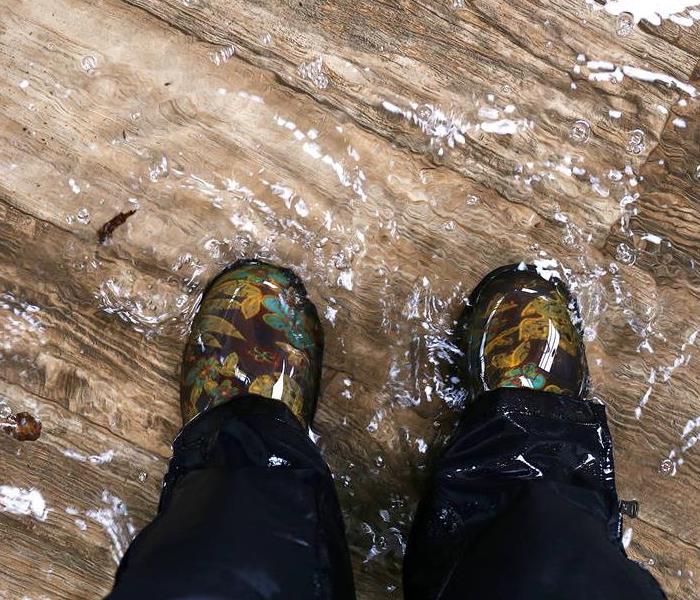 standing water in a room with someone standing on the wood flooring